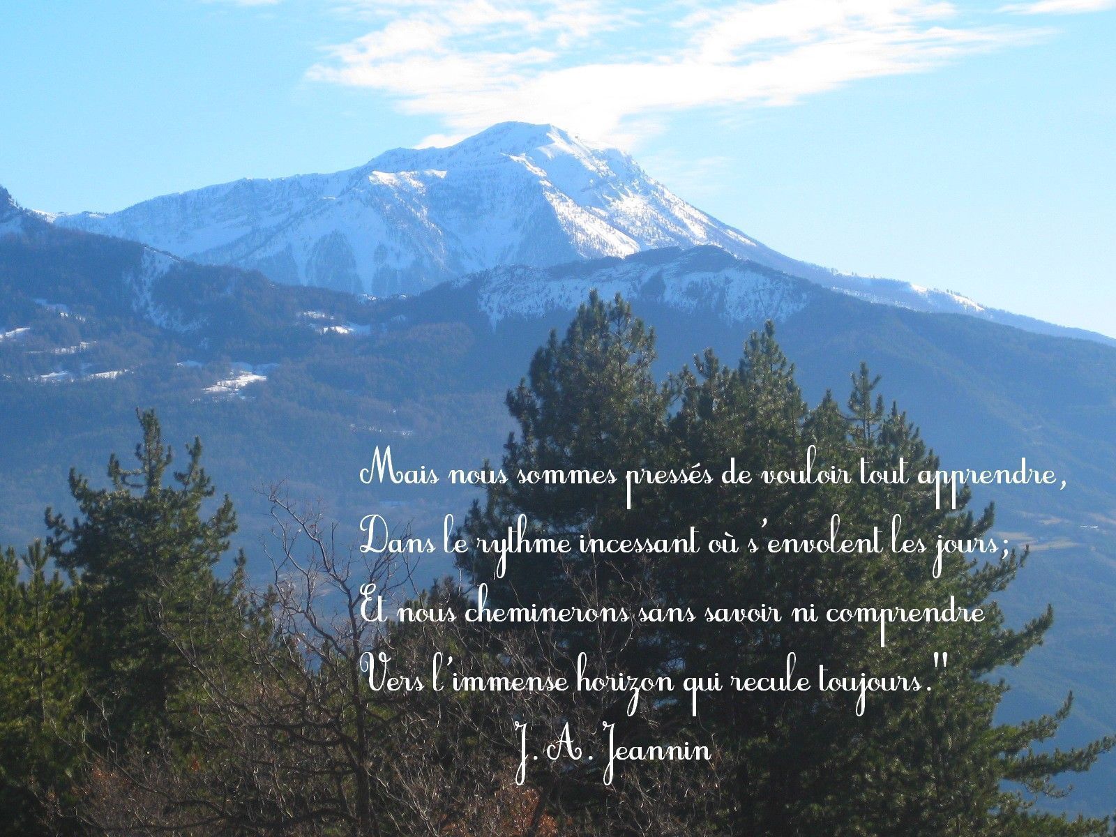 Citation et photo de nature