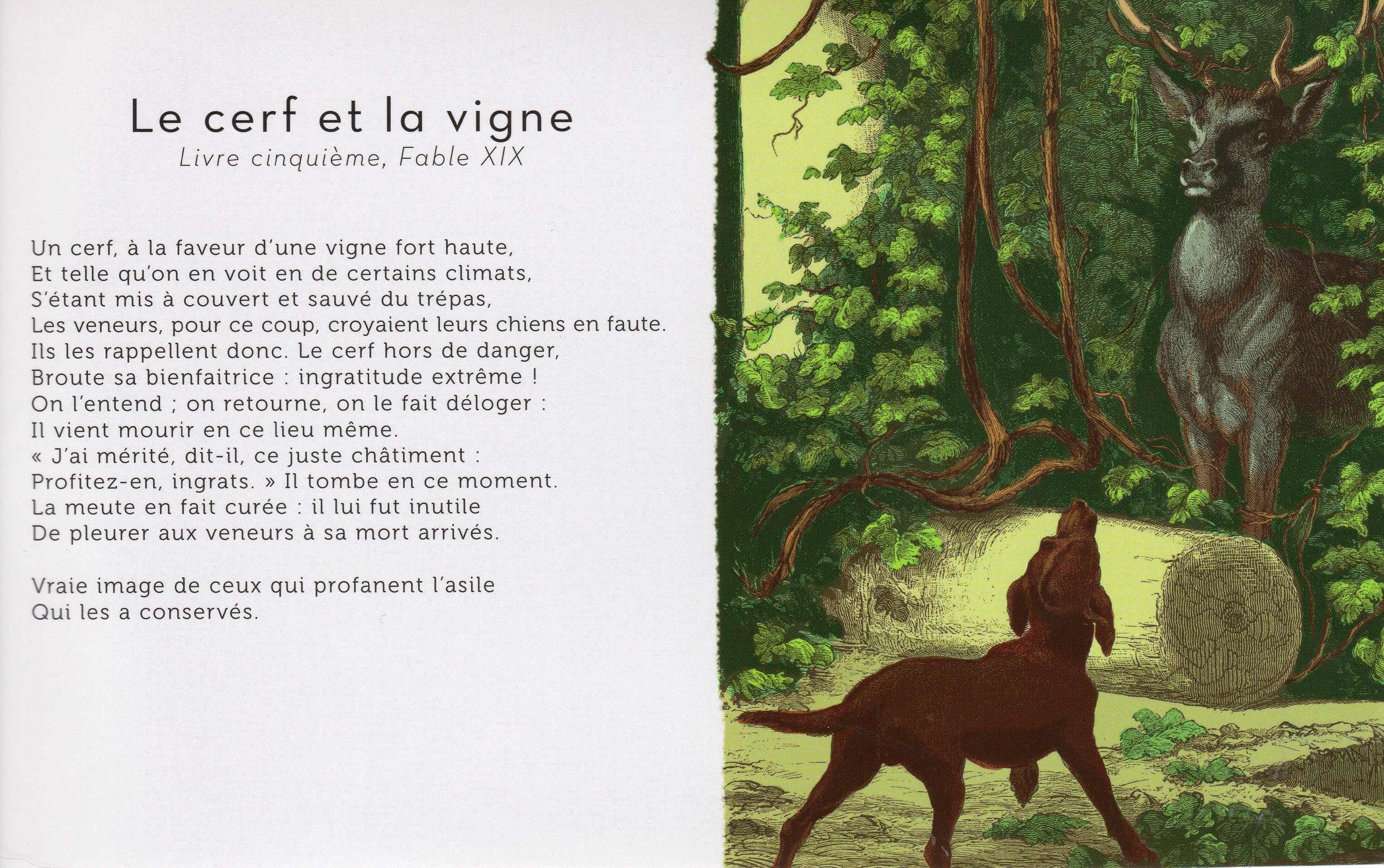 "Le cerf et la vigne" Jean De La Fontaine
