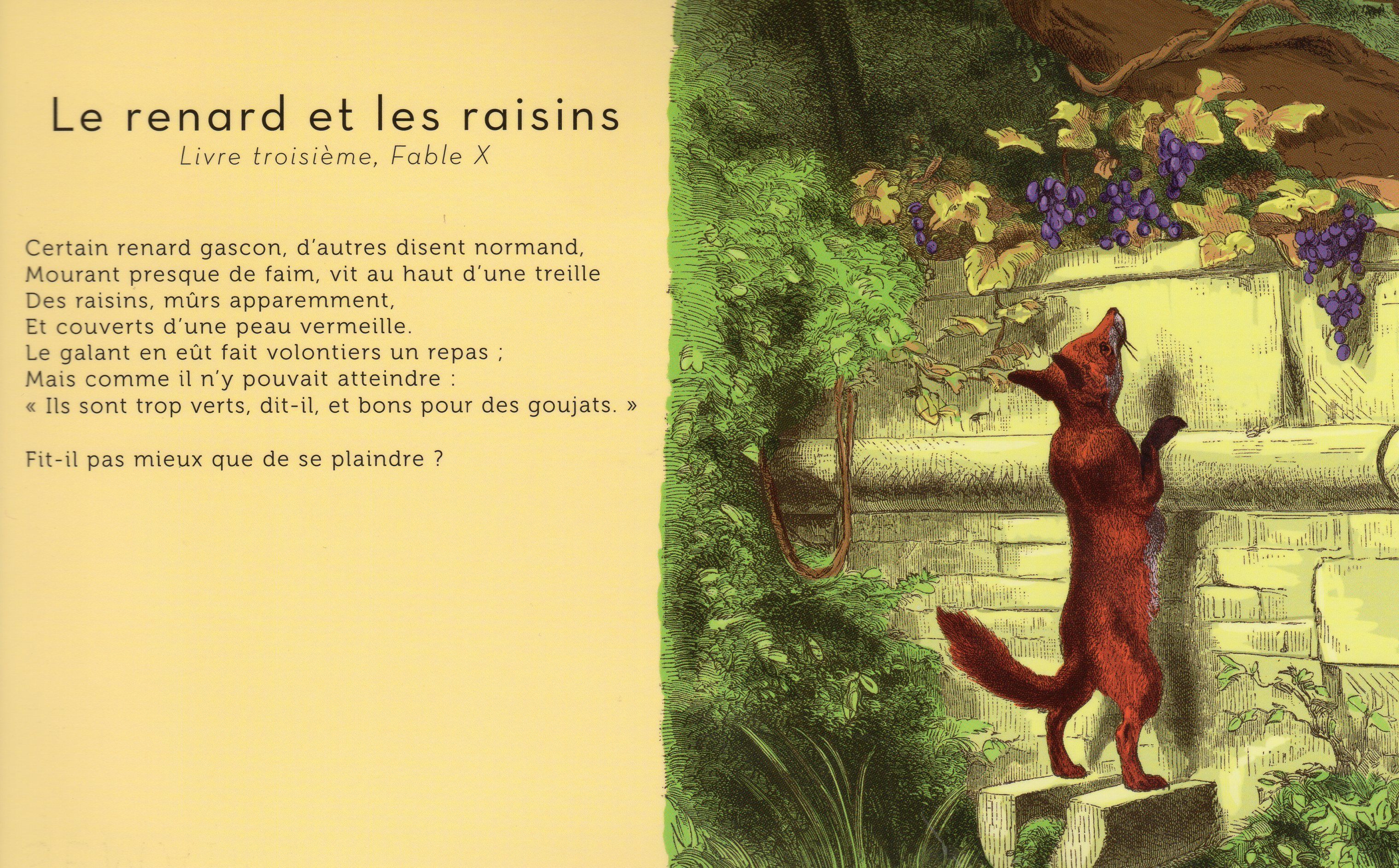 "Le Renard Et Les Raisins" De Jean De La Fontaine