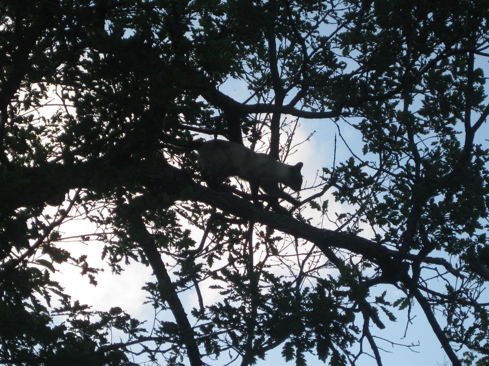 Citation et photo de nature