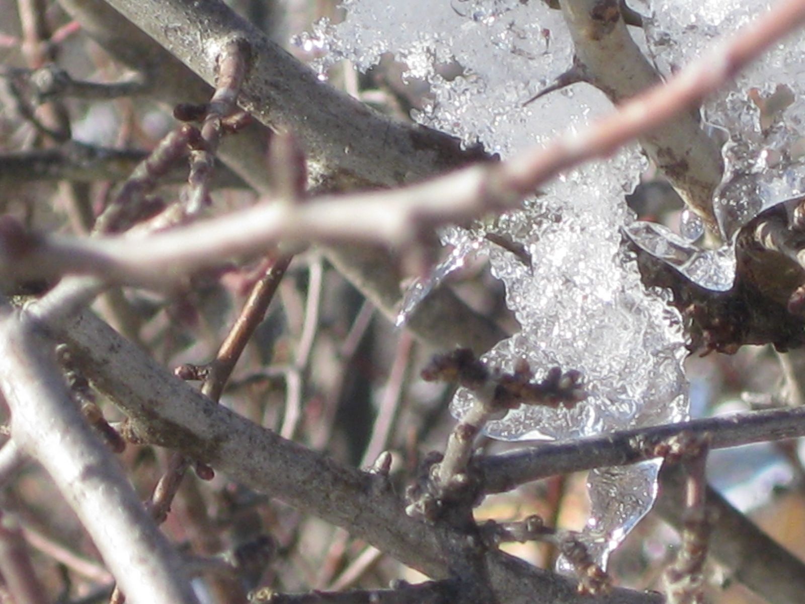 Citation et photo de nature