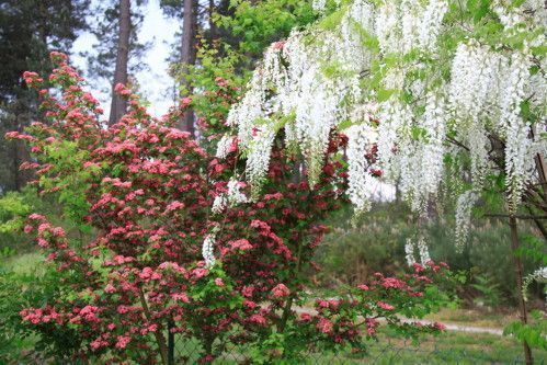 ob_6108c0_audenge-33-44289