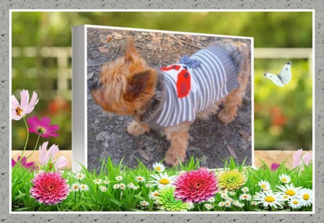 saperlipopette87_lysiane_manteaubleu