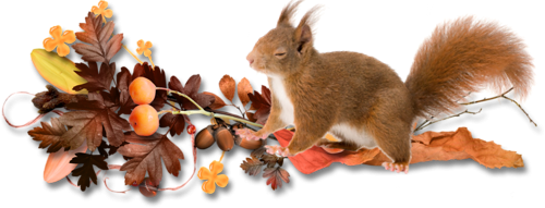 stephanie-painting_500_6607