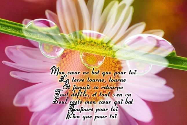 texte-d-amour