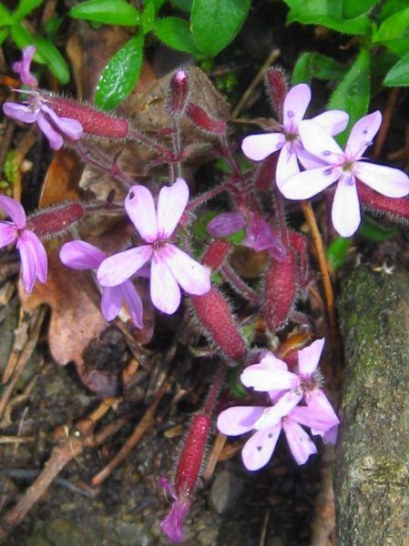 thumbnail_FB_IMG_1563273587511