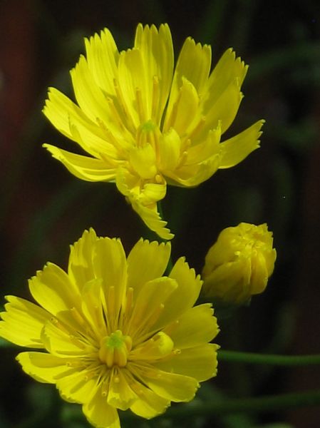 thumbnail_FB_IMG_1563273587512