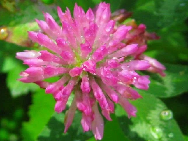 thumbnail_FB_IMG_1563273587513