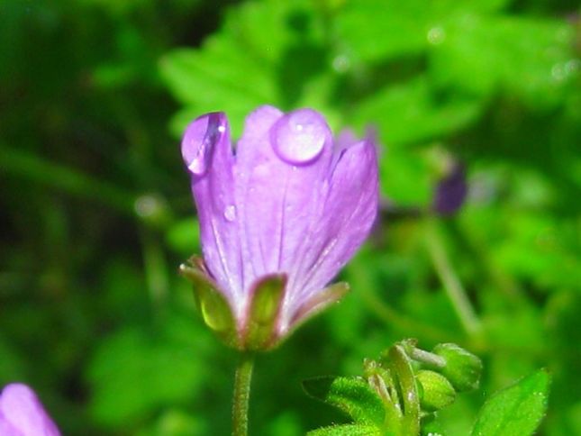 thumbnail_FB_IMG_1563273587515