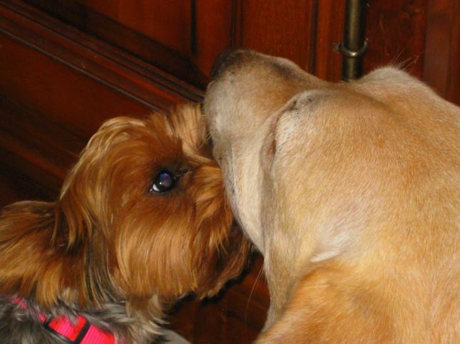 thumbnail_FB_IMG_1563273587612