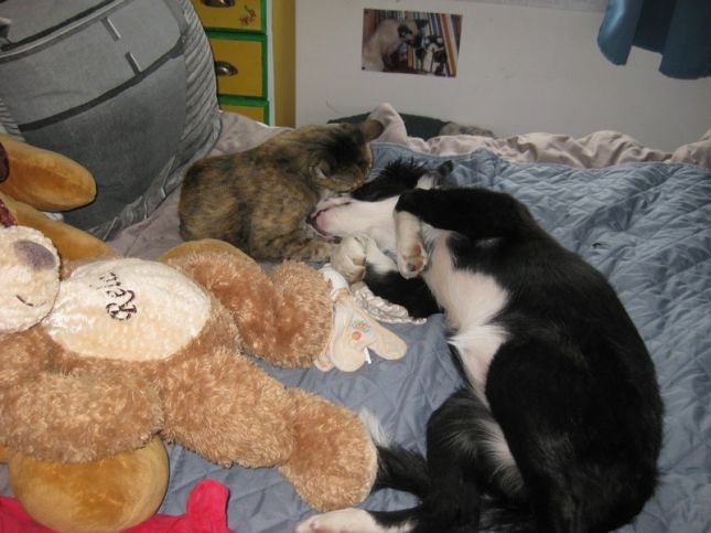 thumbnail_FB_IMG_1563273587867