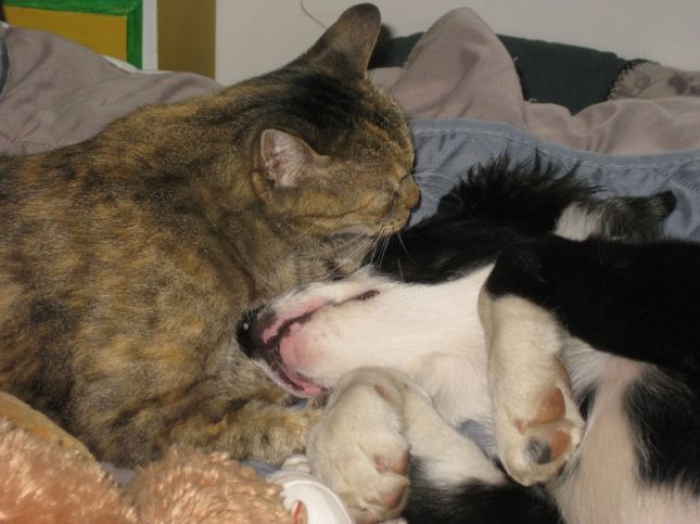 thumbnail_FB_IMG_1563273587868