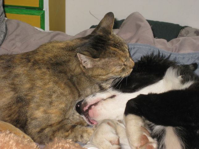 thumbnail_FB_IMG_1563273587869